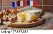 A beautifully arranged cheese platter with Bastille Day accents sits in a cozy kitchen, creating a festive and inviting atmosphere for a delightful celebration. Стоковое AI-видео, аниматор Ирина Старикова / Фотобанк Лори