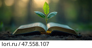 Крошечный зеленый росток появляется на страницах старой книги, оставленной в лесу. Стоковое AI-изображение, AI-художник Ярославский Максим / Фотобанк Лори