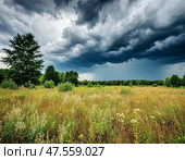 Summer thunderstorm. Landscape. Стоковое AI-изображение, AI-художник Сергей Елизарьев / Фотобанк Лори