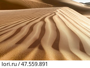 Wind-carved patterns on sunlit sand dunes in arid desert landscape. Стоковое AI-изображение, AI-художник Olga Didraga / Фотобанк Лори