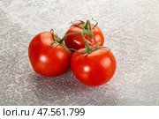 Sweet ripe tomatoes on the branch. Стоковое фото, фотограф Андрей Старостин / Фотобанк Лори