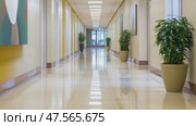 Empty polished corridor with potted plants and paintings. Стоковое AI-видео, аниматор Юрий Поздников / Фотобанк Лори