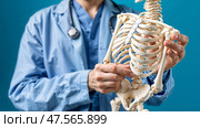Врач в синем халате держит макет скелета. A doctor in a blue lab coat points to a mock-up of a skeleton. Стоковое AI-изображение, AI-художник Смирнова Светлана / Фотобанк Лори
