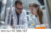 Scientists working together in modern laboratory examining sample. Стоковое AI-видео, аниматор Юрий Поздников / Фотобанк Лори