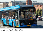 Moscow, Russia - 08.26.2024: Blue electrobus drives down the street in Moscow, front side view. Electric bus in motion. Moscow transport. Редакционное фото, фотограф Ирина Михайличенко / Фотобанк Лори