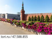 Moscow, Russia - 08.26.2024: Panorama view of Moscow Kremlin wall from Bolshoy Moskvoretsky Bridge. Sunny summer day. Редакционное фото, фотограф Ирина Михайличенко / Фотобанк Лори