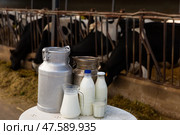 Composition of dairy products on table. Стоковое фото, фотограф Яков Филимонов / Фотобанк Лори