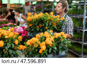 Middle-aged salesman holding crossandra in flower-pots in plants market. Стоковое фото, фотограф Яков Филимонов / Фотобанк Лори