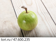 Tropical sweet fruit Sapote Star apple. Стоковое фото, фотограф Андрей Старостин / Фотобанк Лори