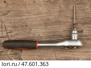 Screwdriver and screw on wooden board. Стоковое фото, фотограф Александр Собко / Фотобанк Лори