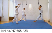 Military temptation training. Aikido or judo. Стоковое видео, видеограф Igor Skripachev / Фотобанк Лори