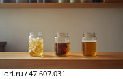 Horizontal banner showing kombucha fermentation stages in glass jars with clean minimal background. Горизонтальный баннер с изображением этапов брожения комбучи в стеклянных банках на чистом минимальном фоне. Стоковое AI-изображение, AI-художник Katsiaryna Repich / Фотобанк Лори
