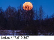 Закат "красной луны", Бородинское Поле, Россия. Стоковое фото, фотограф glokaya_kuzdra / Фотобанк Лори