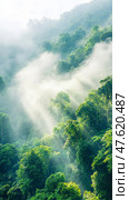 Tranquil Scenery: A misty forest with sunbeams filtering through the canopy. Стоковое AI-изображение, AI-художник Данила Большаков / Фотобанк Лори