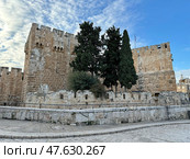 Citadel Tower of David in the Old City of Jerusalem (2024 год). Стоковое фото, фотограф Irina Opachevsky / Фотобанк Лори