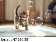 Playful tabby kitten joyfully chasing bubbles in a sunny room. Живой котенок табби с азартом гоняется за плавающими пузырьками в светлой уютной комнате. Стоковое AI-изображение, AI-художник Katsiaryna Repich / Фотобанк Лори