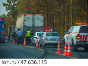 A section of road where police and road service officers are conducting an inspection or processing an incident. Several cars with flashing lights, including traffic police patrol cars and a road service vehicle, are parked on the side of the road. The road is partially blocked by orange cones. A truck with the Eurocement logo is visible in the background. In the foreground are police officers in uniform and reflective vests. The action takes place against the backdrop of an autumn forest. (2020 год). Редакционное фото, фотограф Анна Кривицкая / Фотобанк Лори