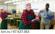 Vegetable warehouse workers preforming dance in workplace. Стоковое фото, фотограф Яков Филимонов / Фотобанк Лори