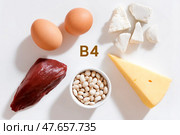 Foods contain vitamin B4 (choline). Chicken eggs, beef liver, cottage cheese, cheese, soybeans, beans on white background. Стоковое AI-изображение, AI-художник Алеся Цапенко / Фотобанк Лори