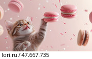 Cute kitten plays with floating macarons on a pastel pink background. Милый котенок играет с летающими пирожными macarons на пастельно-розовом фоне. Стоковое AI-изображение, AI-художник Katsiaryna Repich / Фотобанк Лори