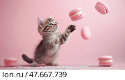 Cute kitten plays with floating macarons on a pastel pink background. Милый котенок играет с летающими пирожными macarons на пастельно-розовом фоне. Стоковое AI-изображение, AI-художник Katsiaryna Repich / Фотобанк Лори