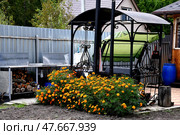 Barbecue area in the country. A large wrought-iron brazier with beautiful grille and a roof. Flowerbed with flowers in front of the barbecue. Summer holiday outside the city. Мангальная площадка. Стоковое фото, фотограф Ольга Солопова / Фотобанк Лори