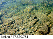 Water and stones on the bottom of Altai river Bashkaus. Natural background. Стоковое фото, фотограф Сергей Пристяжнюк (Serg Zastavkin) / Фотобанк Лори