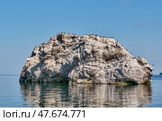 Cormorants resting on rocky Island in lake Baikal, Russia. Стоковое фото, фотограф Ирина Кононова / Фотобанк Лори