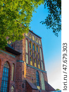 The tower of the Cathedral in Kaliningrad, the architectural dominant of Kant Island. The building is made in the Gothic style of red brick with characteristic narrow lancet windows and decorative arches. Warm evening light beautifully emphasizes the structure of the facade and gives the building a golden hue. Tree branches softly frame the composition, adding a natural accent to the strict architecture. The view from the bottom makes the tower majestic and aimed at the sky. Стоковое фото, фотограф Анна Кривицкая / Фотобанк Лори
