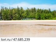 Nopparat Thara Beach in Ao Nang, Krabi Province, Thailand. A line of green trees with a signboard announcing the name of the white sand beach. Стоковое фото, фотограф Коханова Наталья / Фотобанк Лори