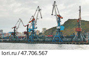 Vladivostok, Russia - August 9, 2021: The seaport of Vladivostok with cranes. View from the ferry. Редакционное видео, видеограф Mikhail Davidovich / Фотобанк Лори