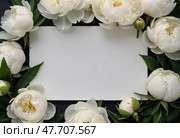 Soft white peonies encircle an empty space, creating a serene atmosphere on a dark backdrop. Perfect for artistic displays or elegant invitations during spring Generative AI. Стоковое AI-изображение, AI-художник Юлия Петровская / Фотобанк Лори