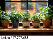A cozy scene with potted houseplants lined up on a wooden sill by the window. Bright sunlight floods the green leaves, giving the composition a feeling of freshness, peace and care for nature. Each pot is unique in design: from terracotta to hand-painted. Outside the window, there is a blurred view of the brick facade, emphasizing the atmosphere of urban coziness. Ideal for themes related to home gardening, eco-style, interior and healthy lifestyle. Стоковое AI-изображение, AI-художник Анна Кривицкая / Фотобанк Лори