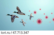Mallards in flight with virus particles. Стоковое AI-изображение, AI-художник Андрей Бакусов / Фотобанк Лори