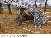 Шалаш в лесу, построенный детьми. Сибирь. Тюменская область. Стоковое фото, фотограф Александр Тараканов / Фотобанк Лори