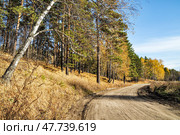 Пыльная дорога. Осень в Сибири. Стоковое фото, фотограф Александр Тараканов / Фотобанк Лори