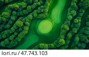 Overhead vista of golf course showing manicured putting green and lush forestation. Стоковое AI-изображение, AI-художник Данила Большаков / Фотобанк Лори