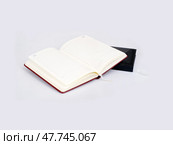 Concept diary with leather cover isolated on white background. Стоковое фото, фотограф Елена  Попкова / Фотобанк Лори
