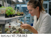 A researcher examines coral samples in a marine lab, surrounded by thriving specimens under bright lights. Стоковое AI-изображение, AI-художник Данила Большаков / Фотобанк Лори