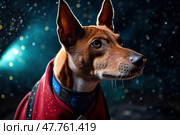 Basenji dog in red cape with colorful twinkles in background like galaxy with stars, created with Generative AI. Стоковое AI-изображение, AI-художник Данила Большаков / Фотобанк Лори