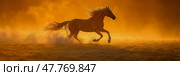 A graceful horse gallops through a thick golden mist at sunset, its mane flowing as it splashes across a tranquil landscape. Стоковое AI-изображение, AI-художник Данила Большаков / Фотобанк Лори