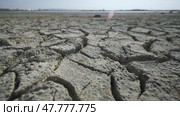 Barren, cracking earth revealing severe drought conditions in crimean landscape, signaling devastating climate change effects. Стоковое видео, видеограф Mikhail Davidovich / Фотобанк Лори