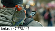 A bird is perched on the back of a mans shoulder, looking around inquisitively. Стоковое AI-изображение, AI-художник Данила Большаков / Фотобанк Лори