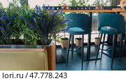 two high chairs and a bar counter in a cafe with an installation of artificial plants. Стоковое фото, фотограф Артем Курутин / Фотобанк Лори