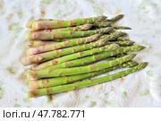 Свежая овощная спаржа (Asparagus officinalis) с дачного огорода на фоне полотенца. Стоковое фото, фотограф Владимир Литвинов / Фотобанк Лори