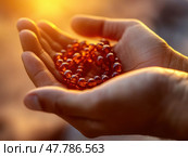 Close-up of hands holding prayer beads (misbaha), soft light, Ramadan setting, focus on spirituality. Стоковое AI-изображение, AI-художник Надежда Рыбальченко / Фотобанк Лори