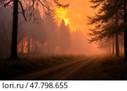 Wildfire burning in dense forest with tall trees, thick smoke, glowing flames, orange sky and dirt path through woodland. Стоковое AI-изображение, AI-художник Павел Муравьев / Фотобанк Лори