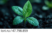 A small green sprout with dewdrops on its leaves is breaking through dark soil in a lush and vibrant setting at dawn. Стоковое AI-изображение, AI-художник Данила Большаков / Фотобанк Лори