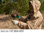A man in an anti-encephalitis suit holds a sample of turf against a background of pine trees. Стоковое фото, фотограф Роман Дзюбало / Фотобанк Лори