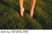 Women's feet on the green grass. A woman's bare, elegant feet are resting on a green canvas of grass. Стоковое AI-изображение, AI-художник Антон Слабоспицкий / Фотобанк Лори